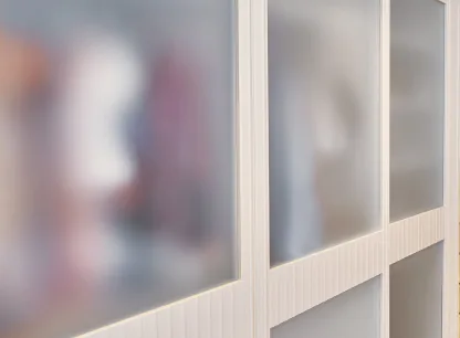 Frosted Glass